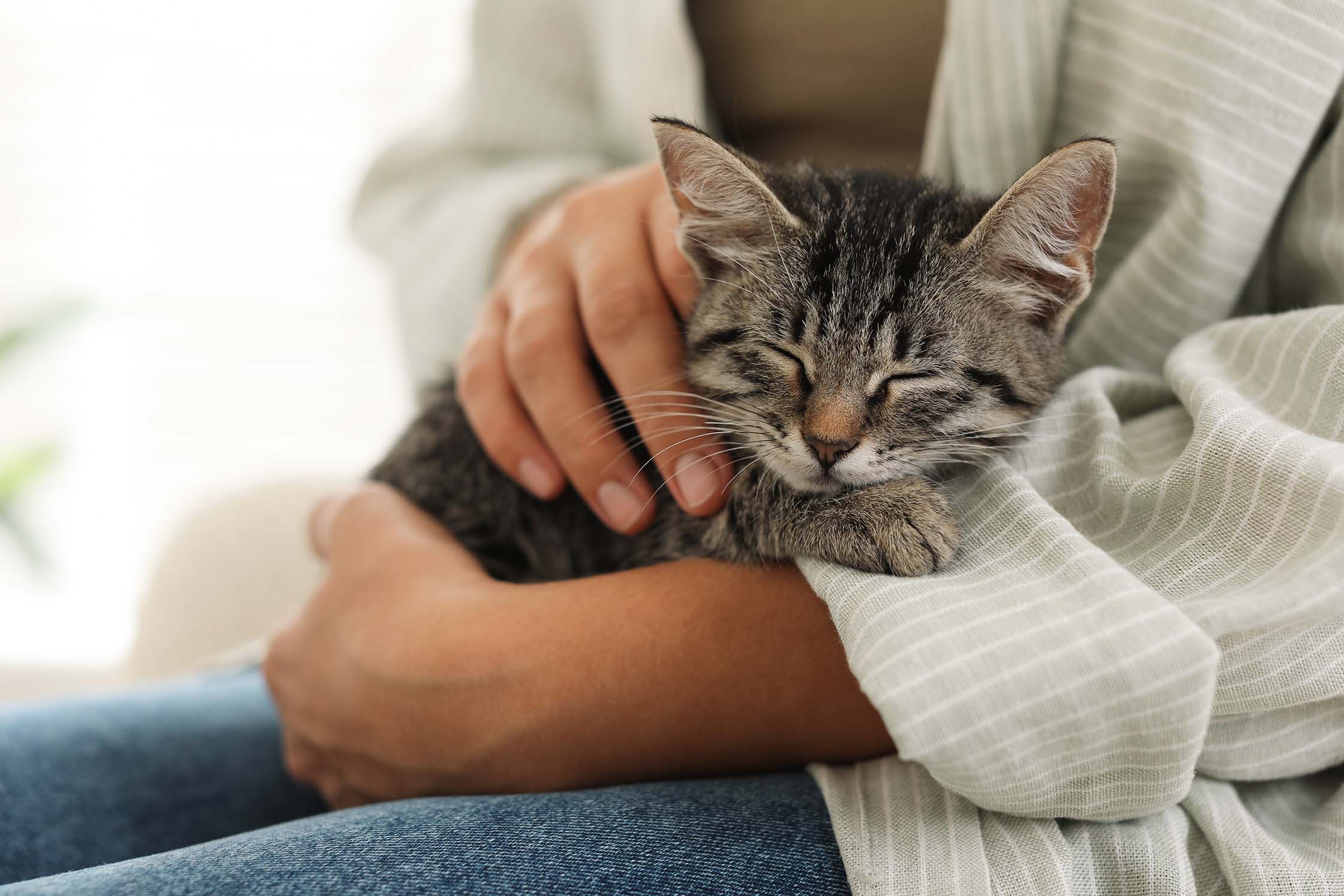 Den duševního zdraví: Už jste někdy vyzkoušeli terapeuta, který vrní?