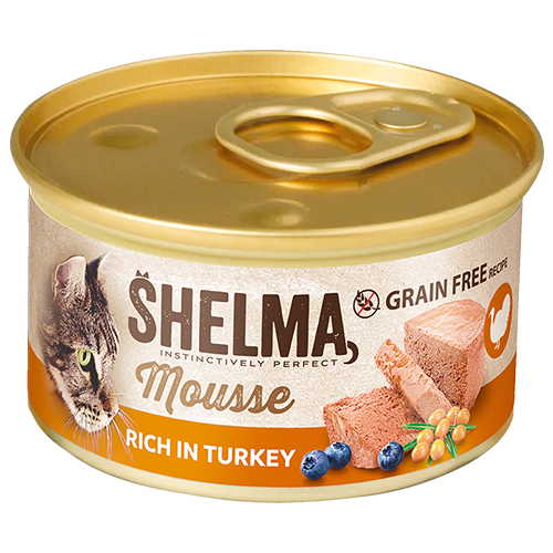 Mousse s krůtím, borůvkami&nbsp;a rakytníkem