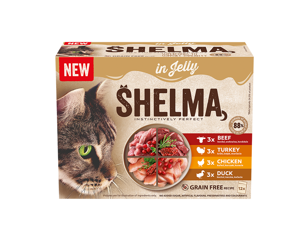 Dušené filetky bohaté na hovězí a krůtí s rajčaty a bylinkami, kachní a kuřecí s brusinkami v  želé