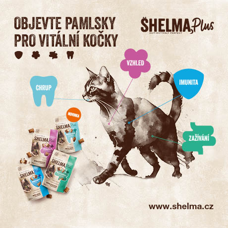 Vraťte své kočce její přirozenost