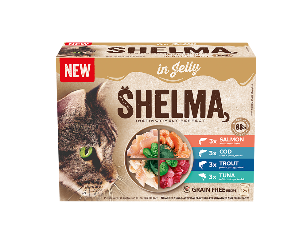 Dušené filetky s lososem a treskou se spirulinou, s tuňákem a pstruhem se špenátem v  želé