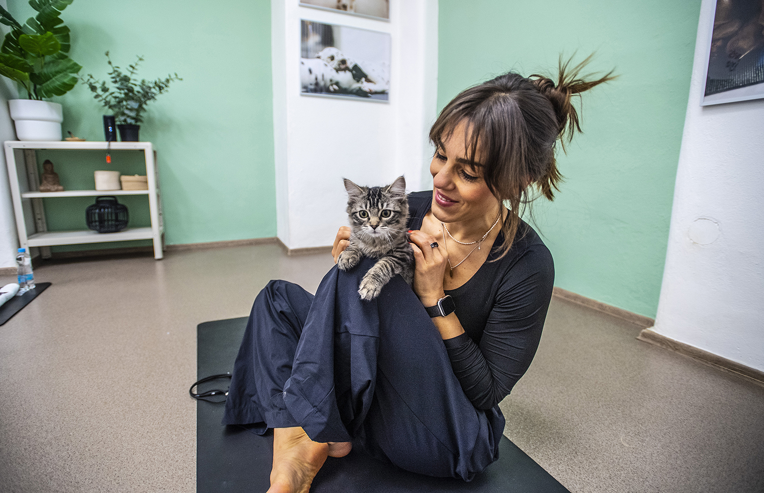 Kočky místo prášků. V Česku roste zájem o felinoterapii